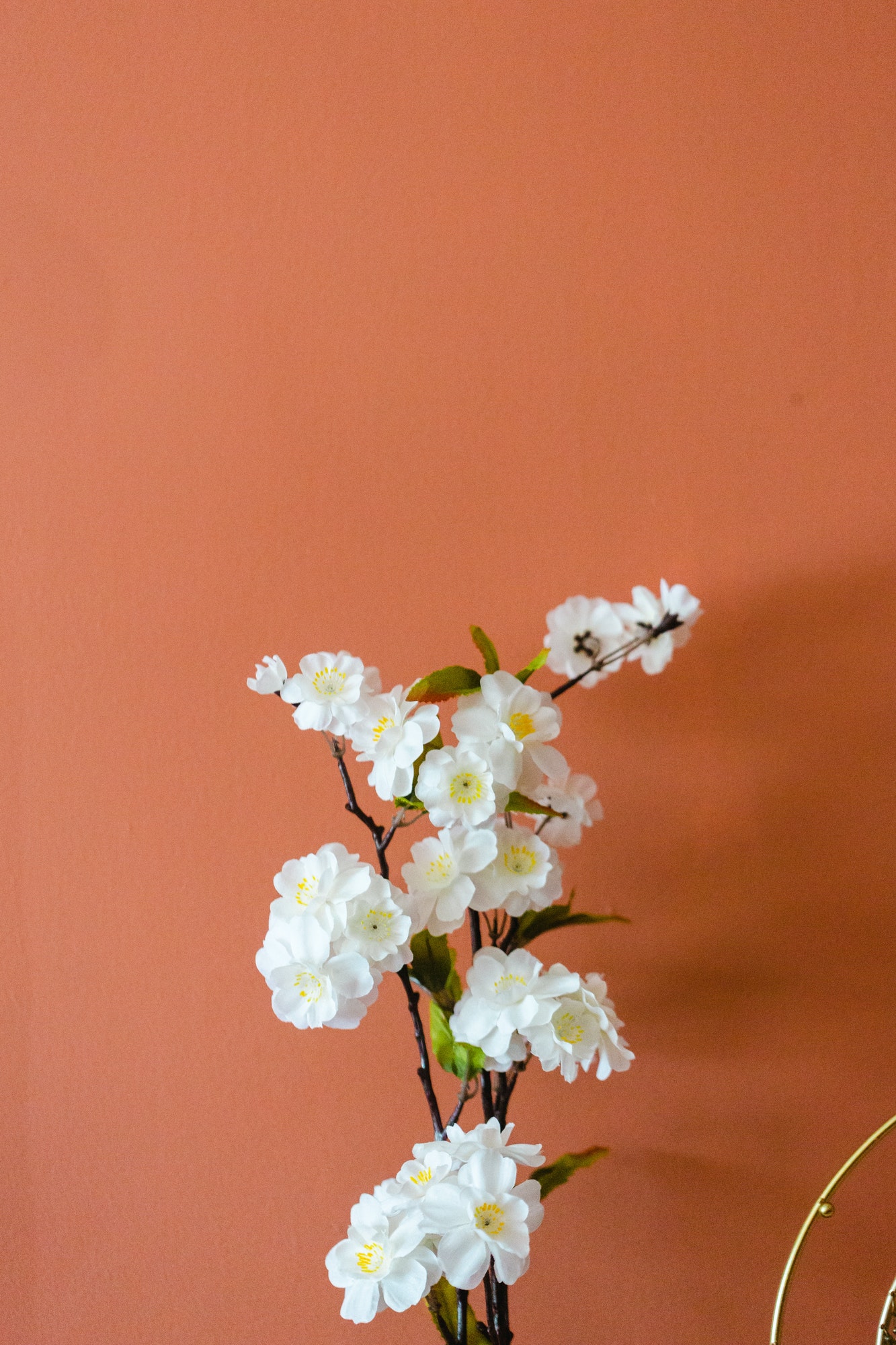 Quelles couleurs de meubles associer avec un mur terracotta ?