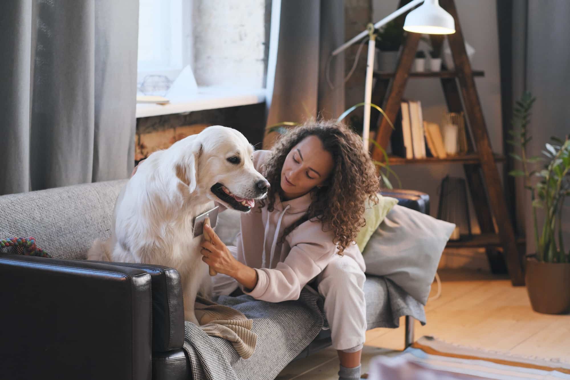 Quels sont les animaux de compagnie autorisés en appartement