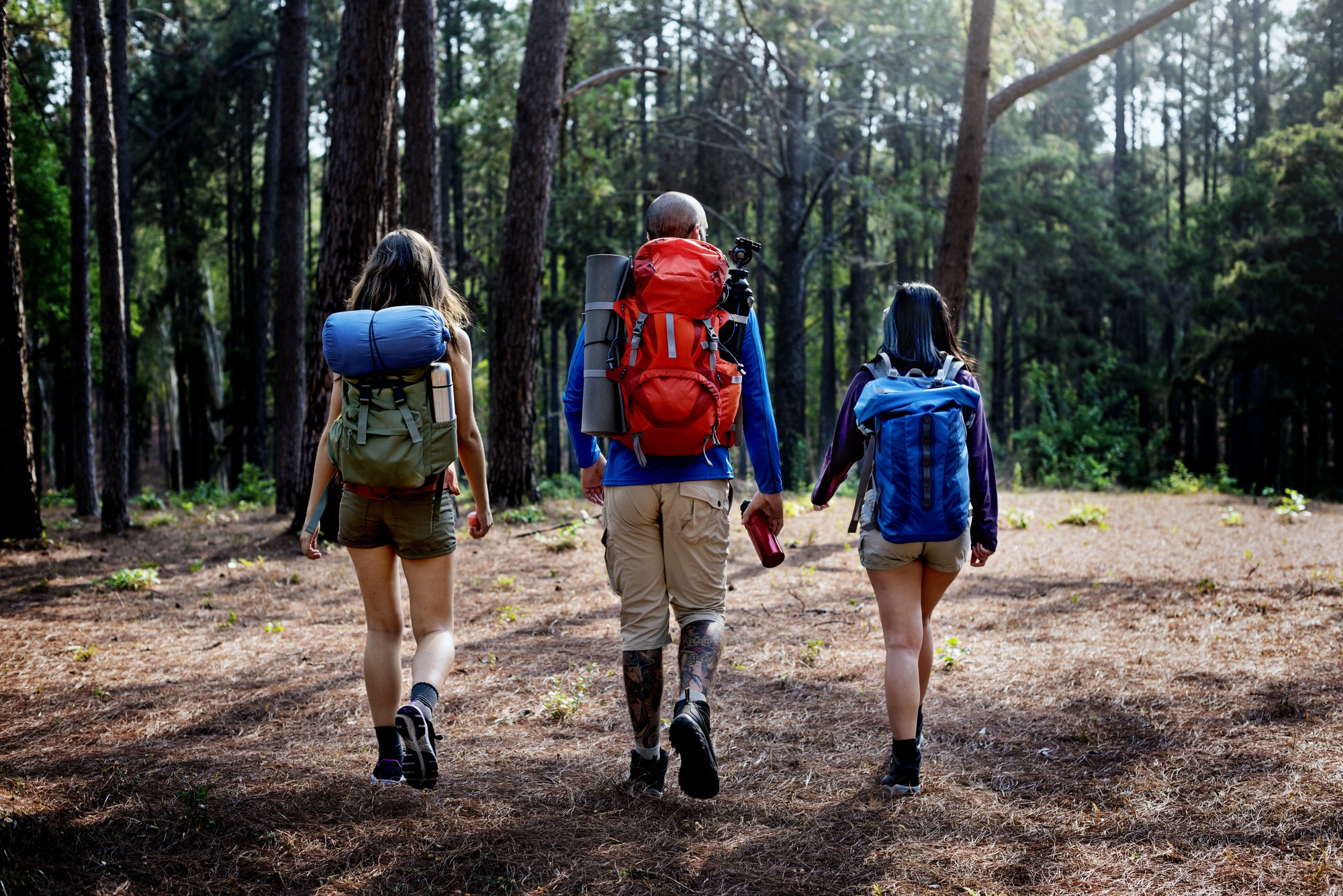 Quels sont les campings du Groupe Tikayan idéaux pour les amateurs de randonnées ?