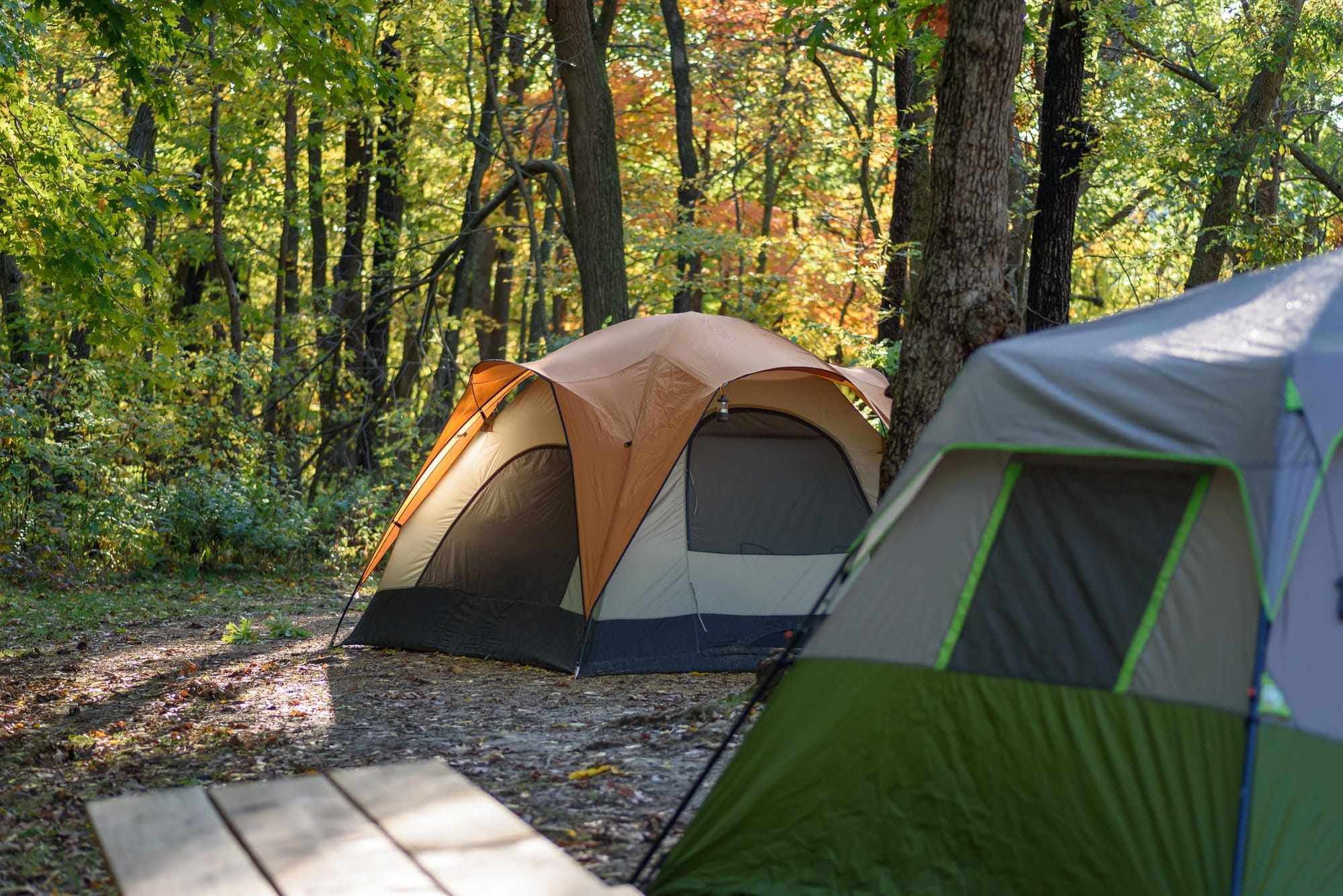 Immergez vous dans la nature avec le camping Aveyron.